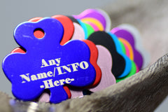 Personalised Engraved pet tag Shamrock Tag