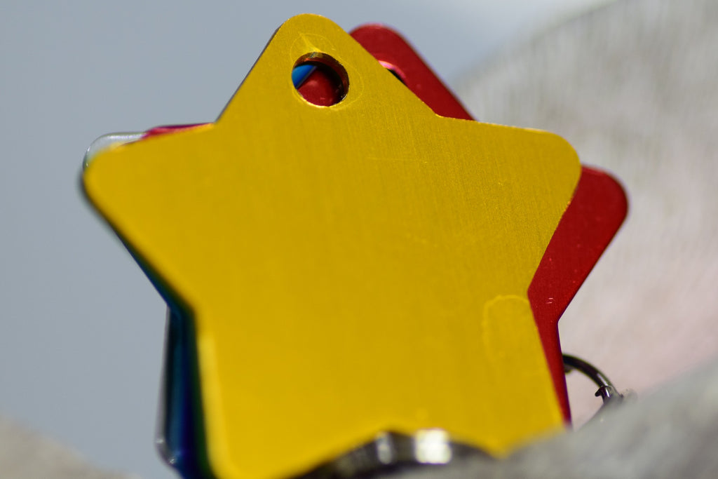 Personalised Engraved pet tag Star Tag