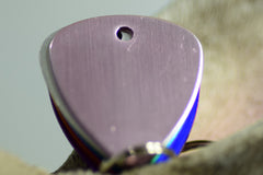 Personalised Engraved pet tag Badge Tag