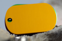 Personalised Engraved pet tag Large Oval Tag