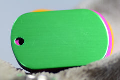 Personalised Engraved pet tag Large Oval Tag