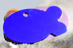Personalised Engraved pet tag Fish Tag