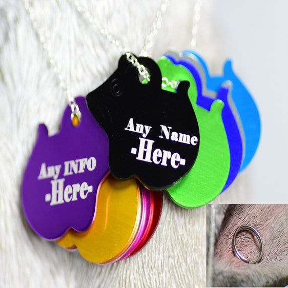 Personalised Engraved pet tag Small Mouse tag