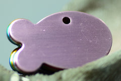 Personalised Engraved pet tag Fish Tag